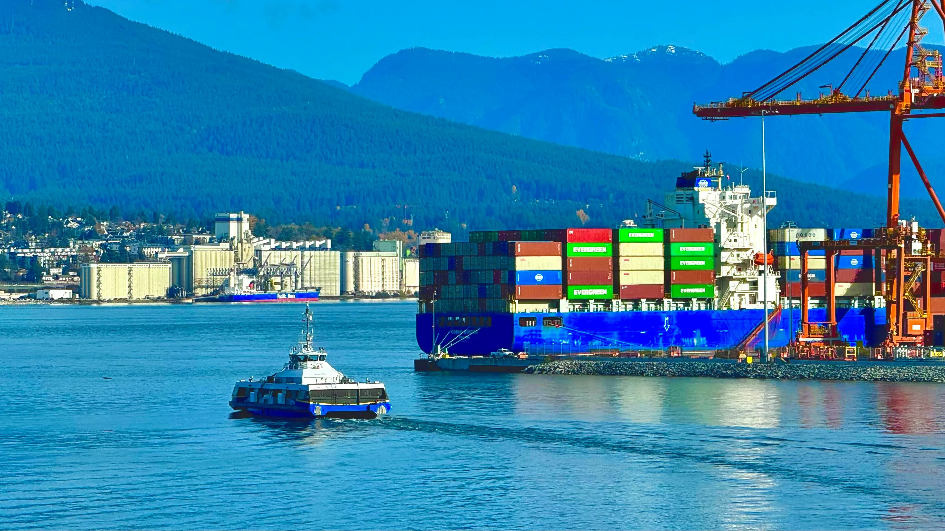 Import & Export